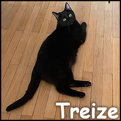 Treize