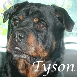 Tyson