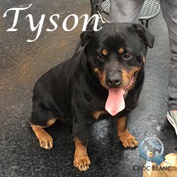 Tyson