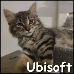 Ubisoft