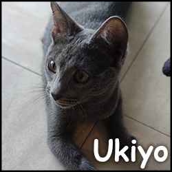 Ukiyo