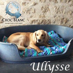 Ulysse 2