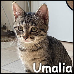 Umalia