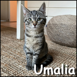 Umalia