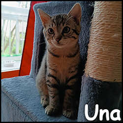 Una