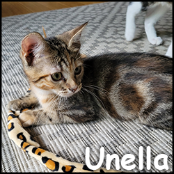 unella