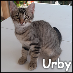 Urby