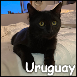 Uruguay 2