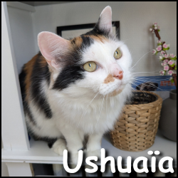 Ushuaïa