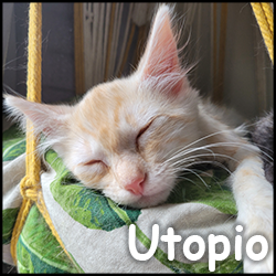 Utopio
