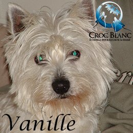 Vanille