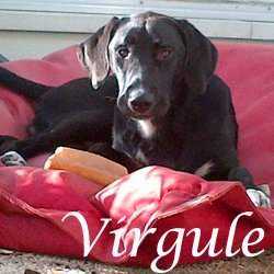 Virgule - Tours