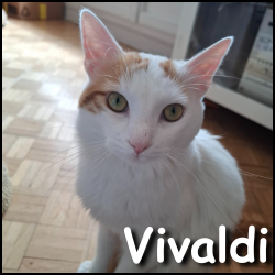 Vivaldi