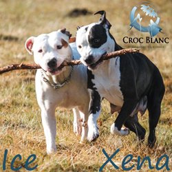 Xena et Ice