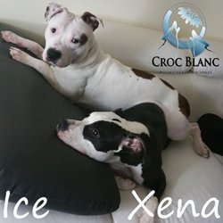 Xena et Ice