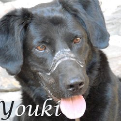 Youki